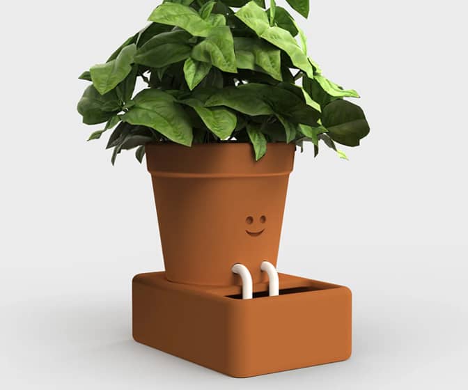 Self-Care Planter