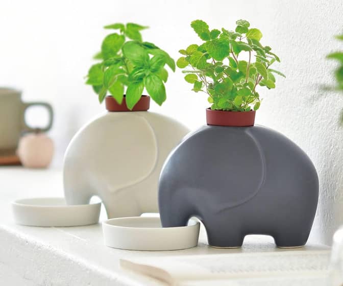 Self-Watering Elephant Planters with Trunks That Wick Up Water