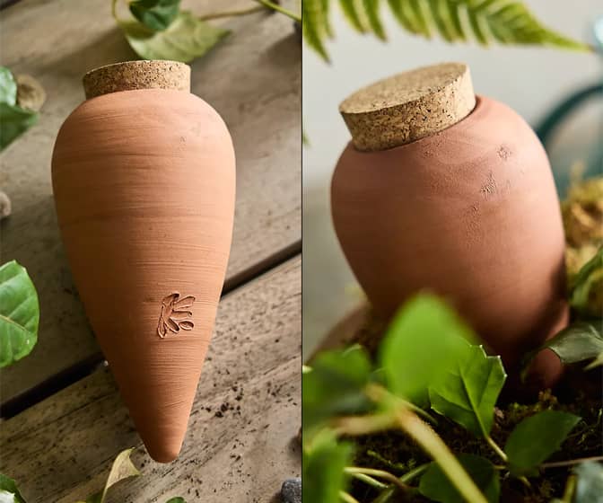 Self-Watering Terracotta Olla Pots for Houseplants