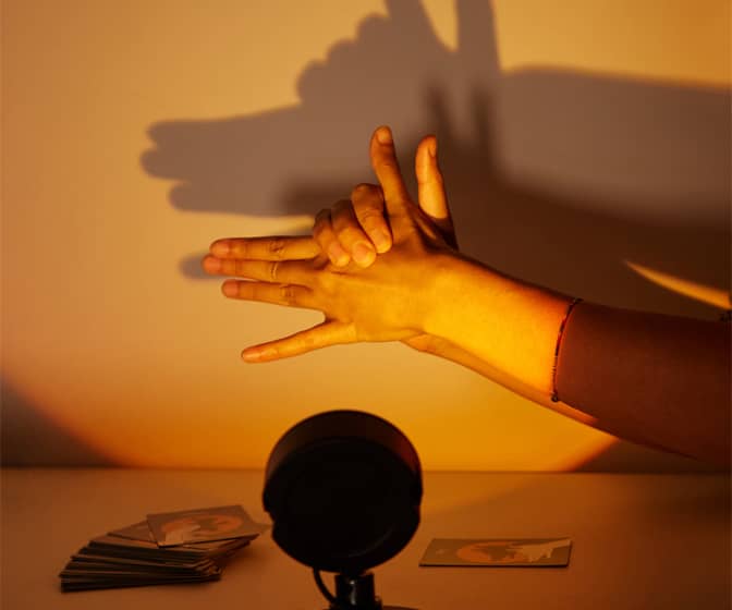Shadow Game - Test Your Shadow Puppet Making Skills