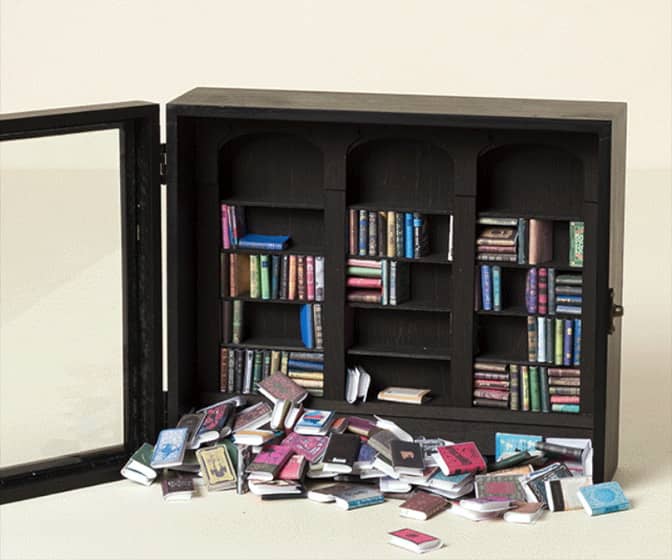 Shake-a-Bookshelf Stress Reliever