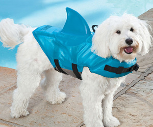 Shark Fin Life Jacket For Dogs