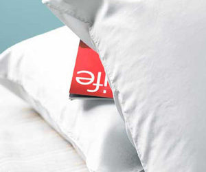 Silk-Filled Pillow