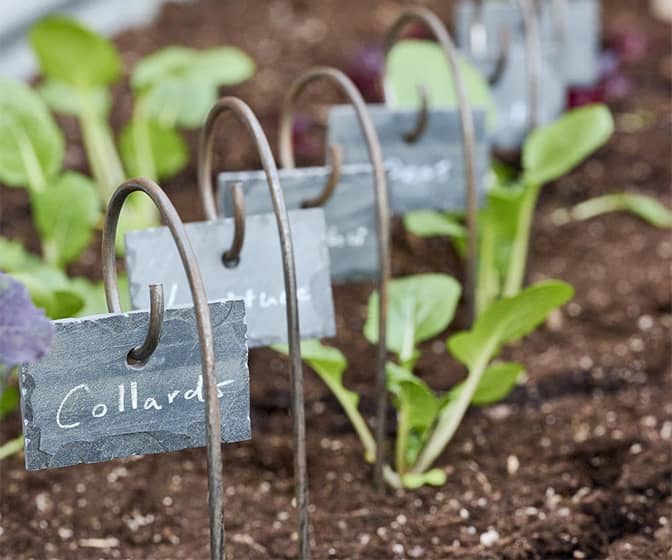 Slate Stone Garden Markers with Steel Stakes