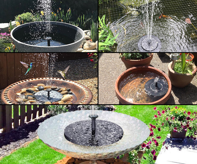 Hanging Dual Bird Feeder and Water Fountain