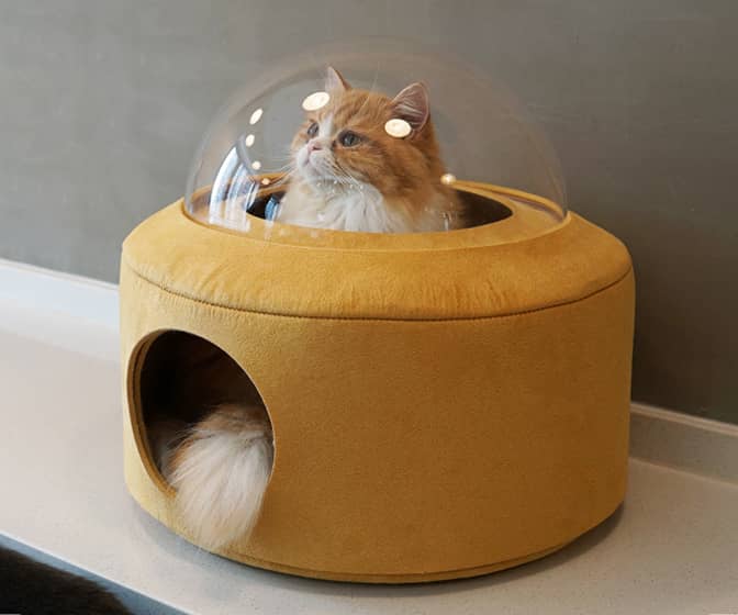 Space Capsule Cat Bed