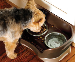 Oppo FoodBall - Dog Feeder That Slows Eating