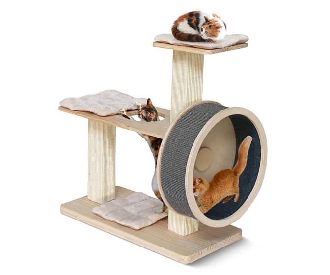 Spinning Exercise Wheel Cat Tree