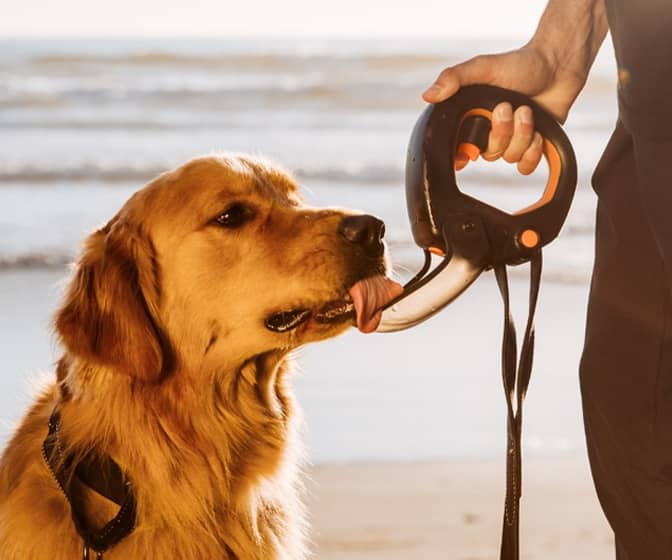 Spleash - Dog Leash Handle, Water Bottle, Flip-Out Bowl, and Sprayer