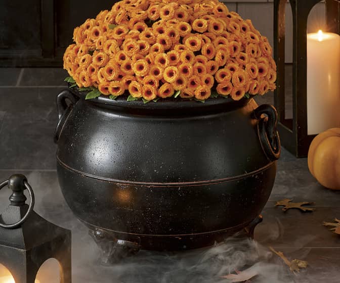 Spooky Black Cauldron Planter