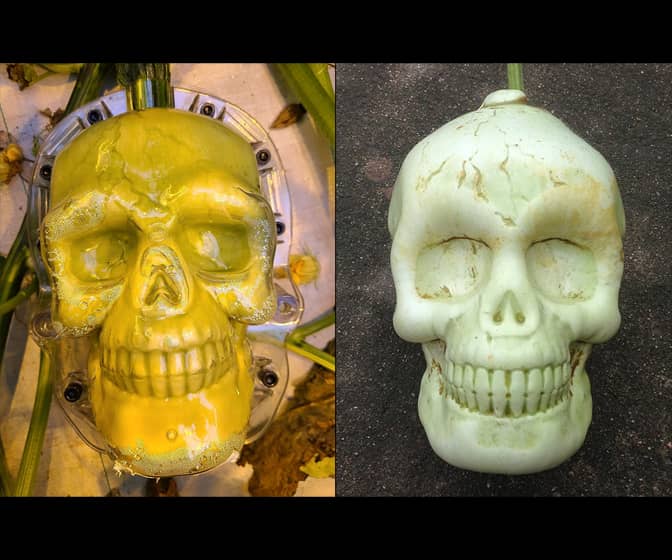 Spooky Skull Pumpkin Shaping Mold