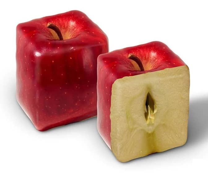 Square-Shaped Apple Molds