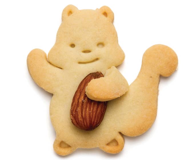 Squirrel Hugging a Nut Cookie Cutter
