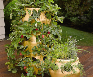 Stackable Strawberry and Herb Planters