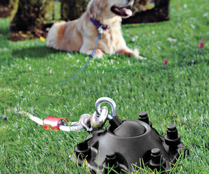 SUREswivel - 360 Degree Swiveling, Tangle-Free Pet Tie-Out