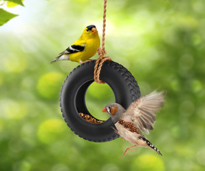 SwingTime - Ceramic Tire Swing Bird Feeder