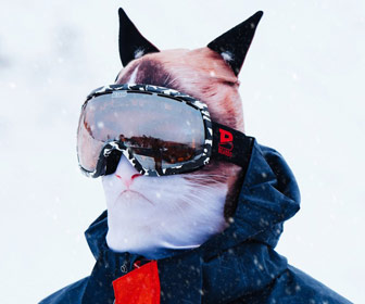 Ultra-Realistic Cat Face Ski Mask