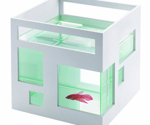 Fishpool Aquarium - Betta Fish Swimming Pool with Diving Board
