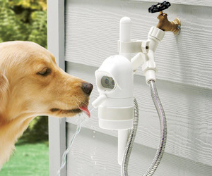 WaterDog - Automatic Outdoor Pet Drinking Fountain