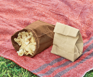 Reusable Waxed Canvas Lunch Bags
