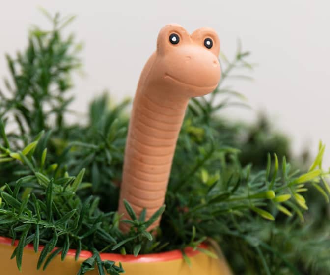 Willy the Worm - Color-Changing Houseplant Water Sensor