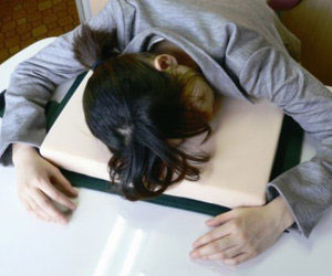 Workaholic Desk Pillow Book