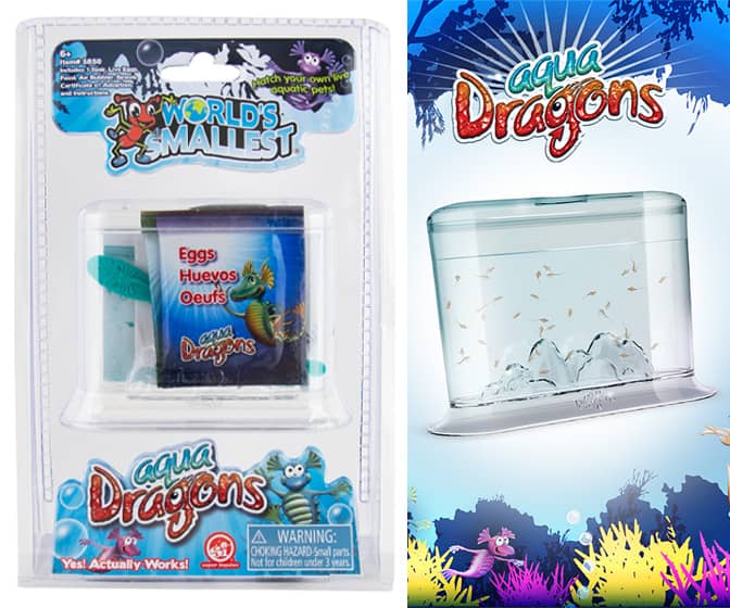 World's Smallest Aqua Dragons - Tiny Living Aquatic Pets