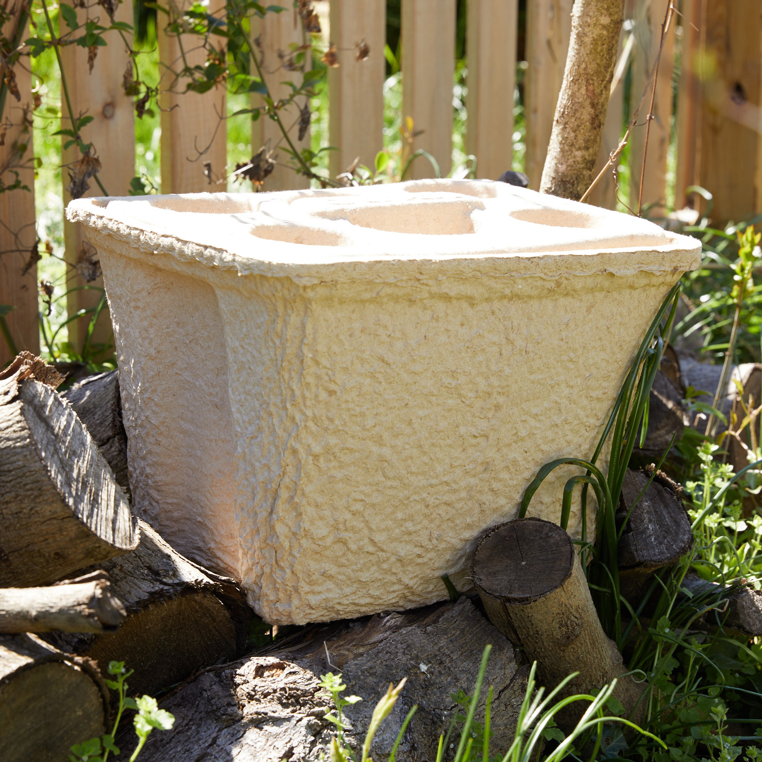 igloo biodegradable cooler