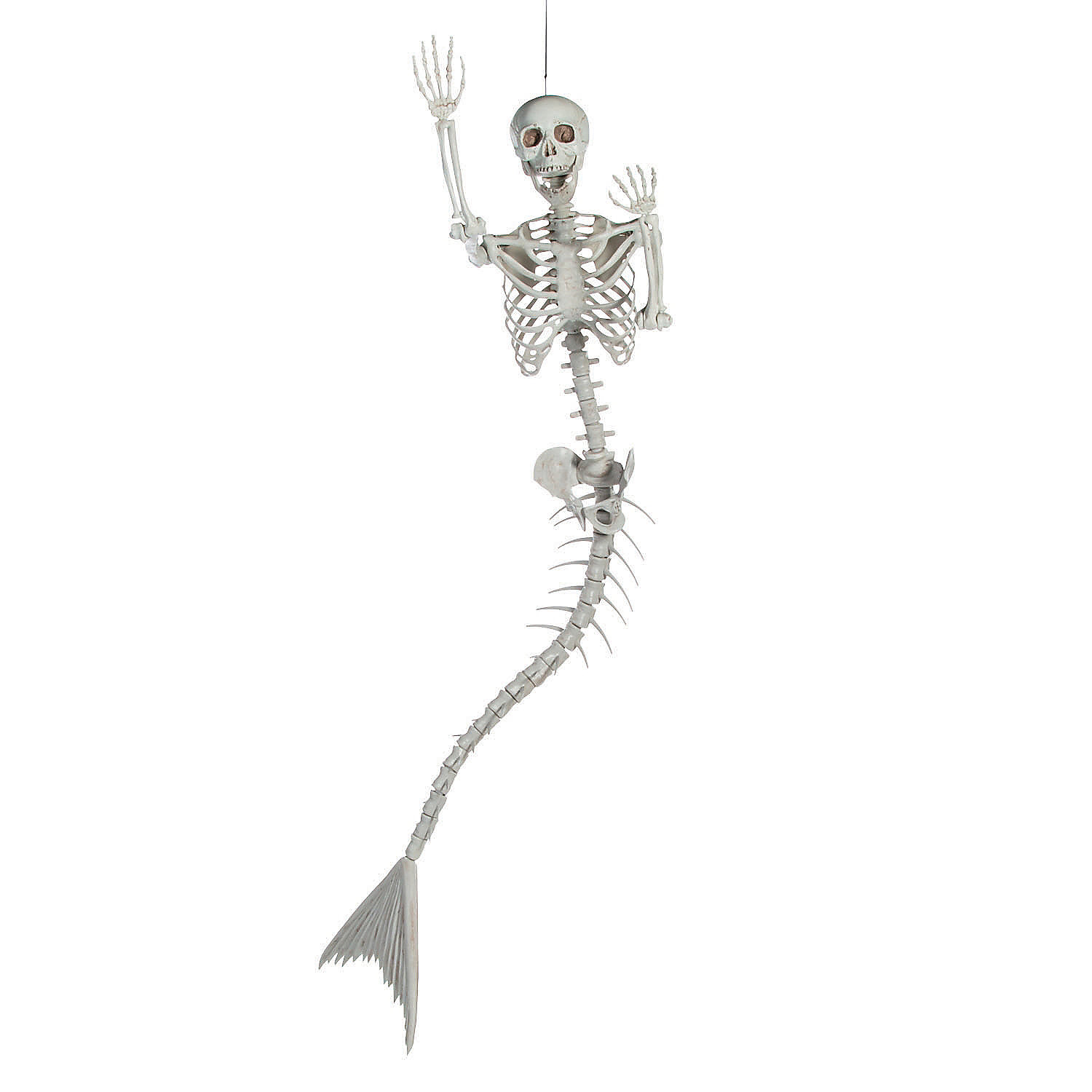 Lifesize Mermaid Skeleton - Over 6 Feet Long! | The Green Head