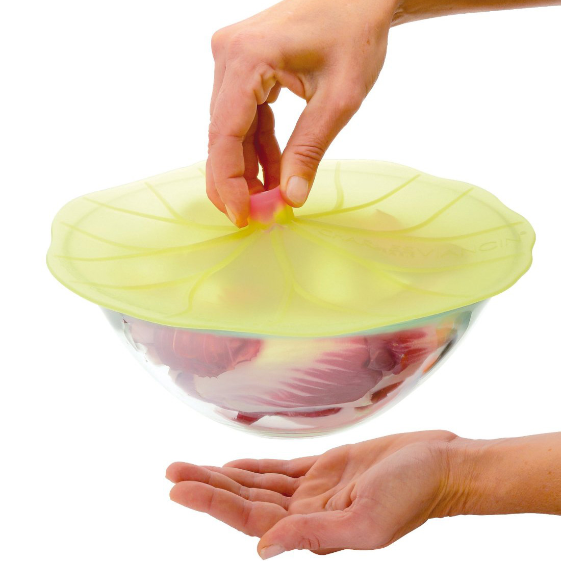 Lily Pad Lids - Airtight, Watertight, and Reusable Silicone Lids | The