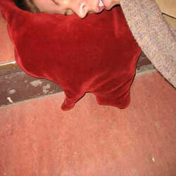 Blood Puddle Pillows