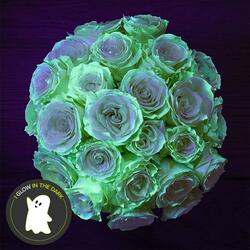 Eerie Glow-in-the-Dark Roses
