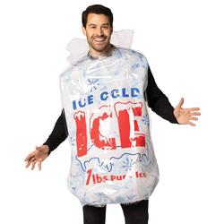 Giant Bag of Ice Costume