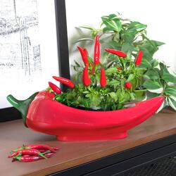 Red Hot Chili Planter