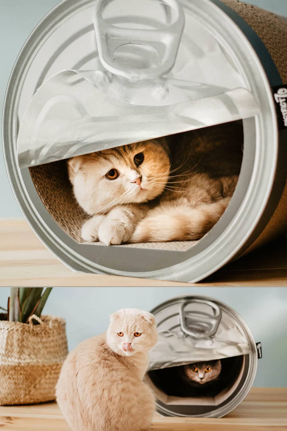 Giant Empty Can Cardboard Cat Scratcher