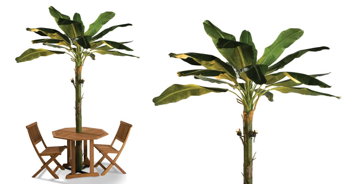 banana leaf patio umbrella Banana Leaf Patio Umbrella Tree