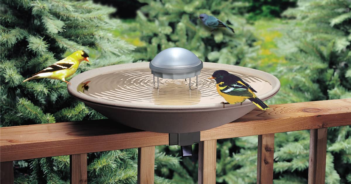 Bird Bath Solar Water Wiggler Attracts Birds and Prevents Mosquitoes