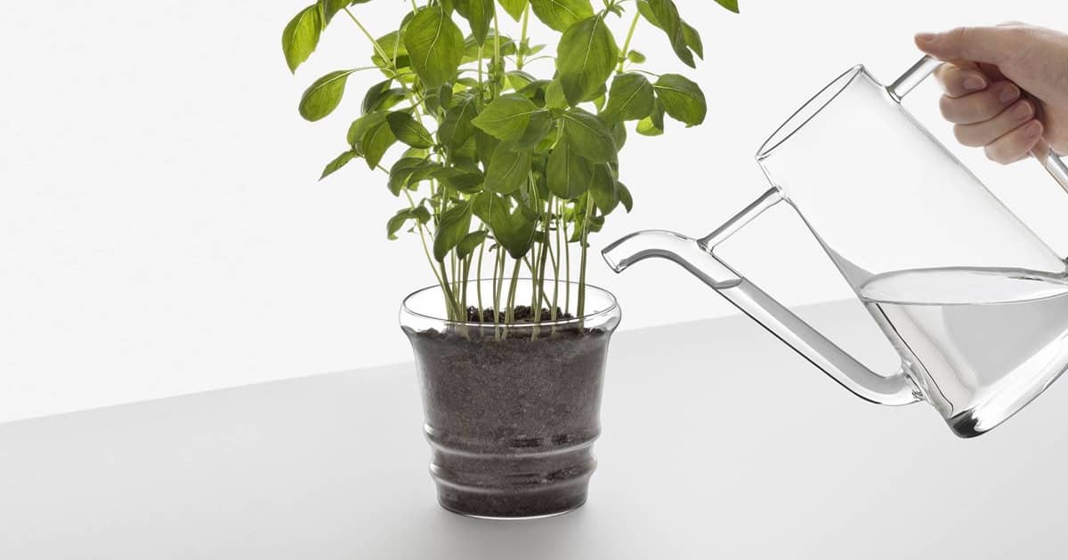 Boboli Glass Planter The Green Head