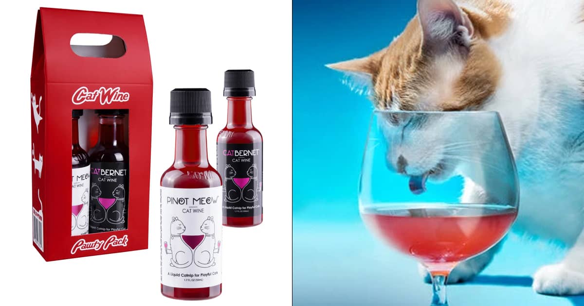 Catnip Shark Tank Cat Wine Apollo Peak Shark Tank (Cat Wine Pawty
