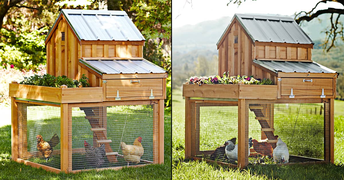 Cedar Chicken Coop and Run with Garden Planter The Green Head