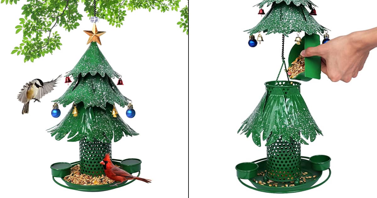 Christmas Tree Bird Feeder The Green Head