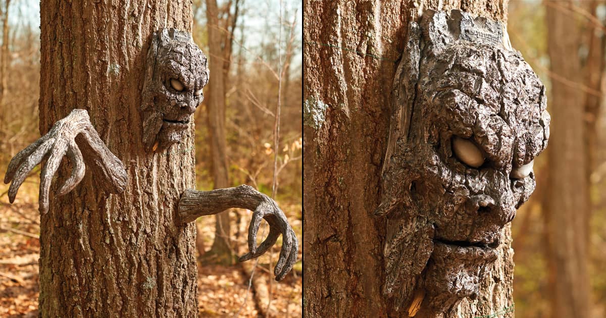 Old Man Tree Hugger,Bark Ghost Face Facial Features Decoration Tree