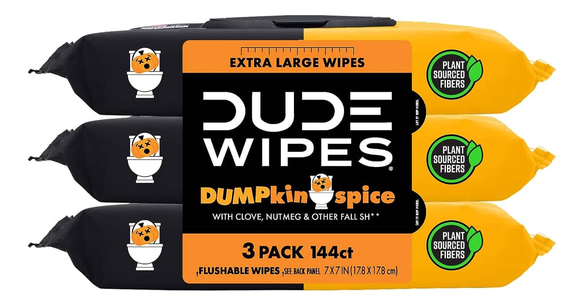 DUDE Wipes Pumpkin Spice Flushable Wipes | The Green Head