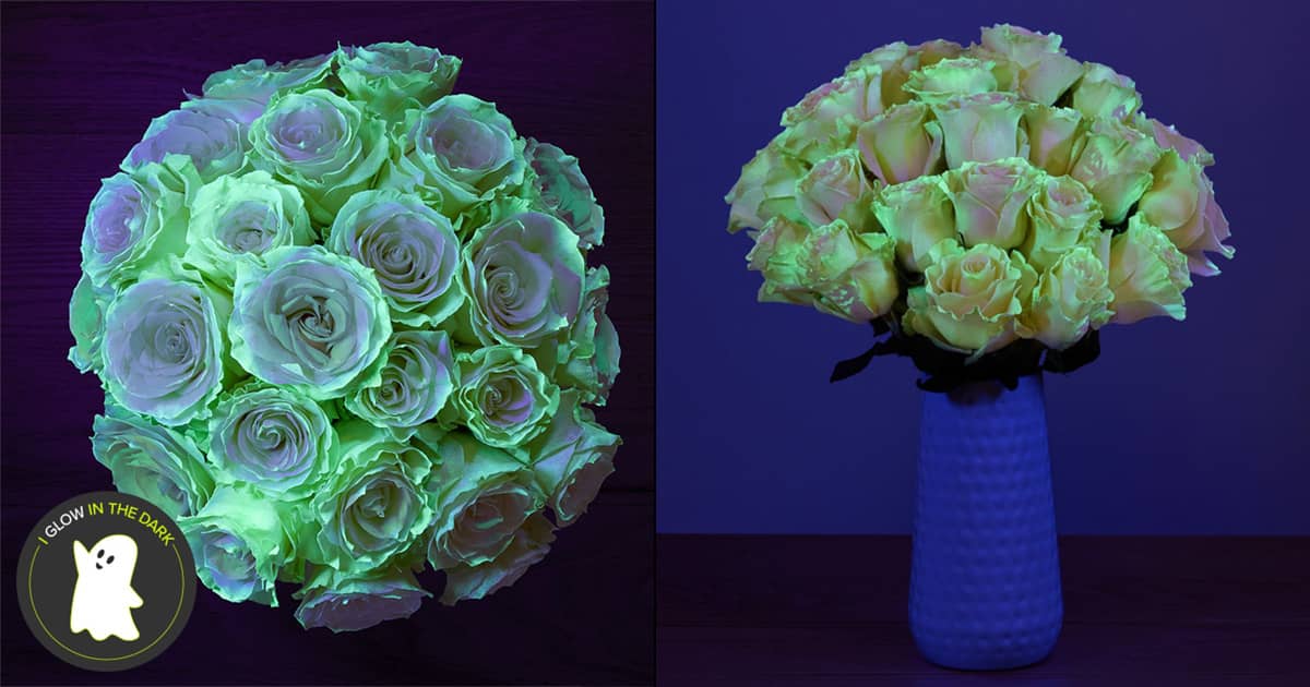 Gloomcore Roses Eerie Glow-in-the-Dark Roses | The Green Head