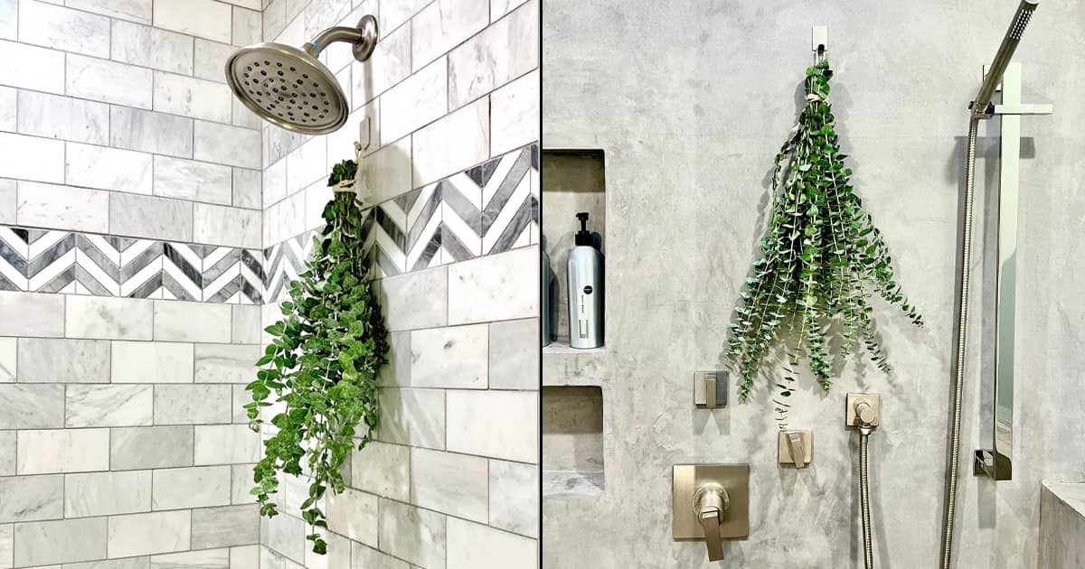 Fresh Eucalyptus Shower Bundle - Steam Releases the Soothing Scent ...