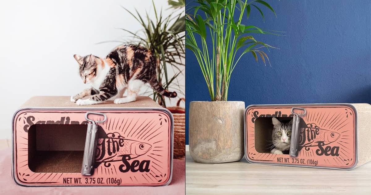 Giant Sardine Can Cardboard Cat Scratcher | The Green Head