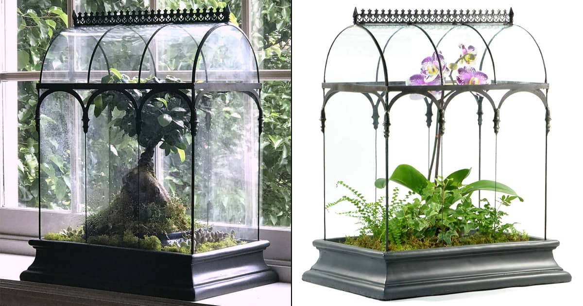 extra large plant watering globes SmartiLiving Drip Irrigation Stakes - Extra Large Improved Drip Easy-Refill 4 Week Waterer System with Large Reservoir Bulbs