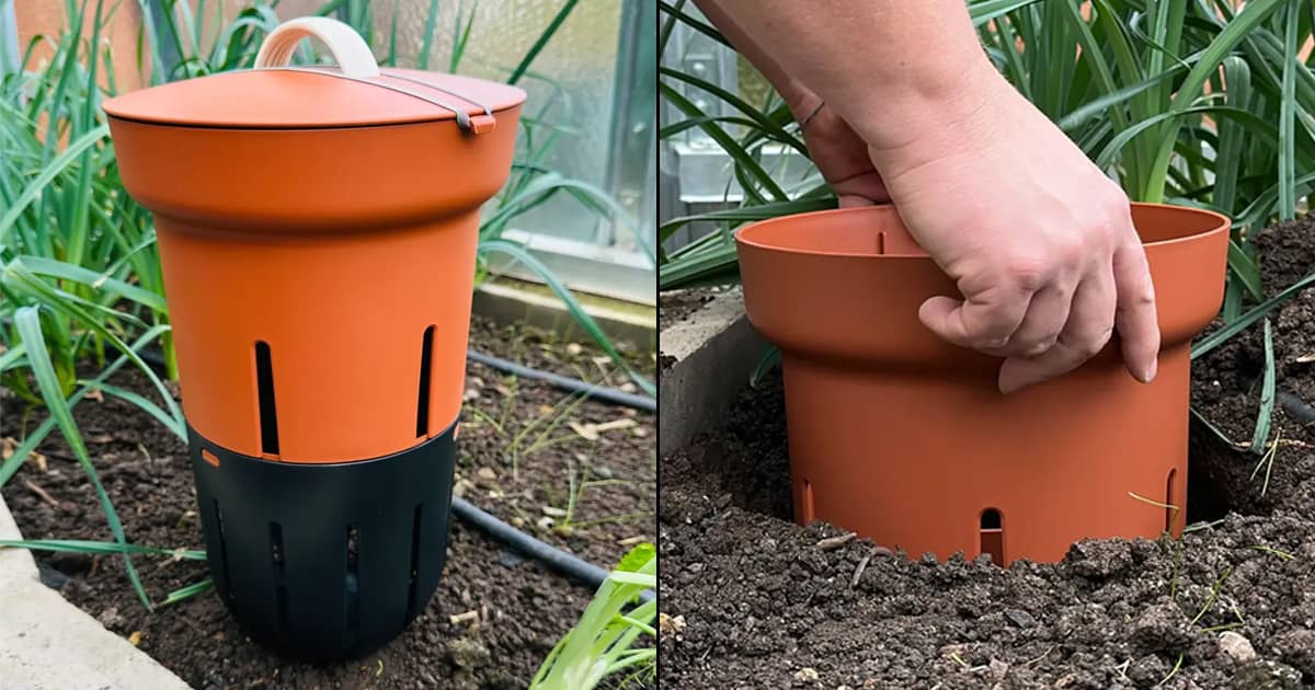In-Ground Worm Farm Composter | The Green Head
