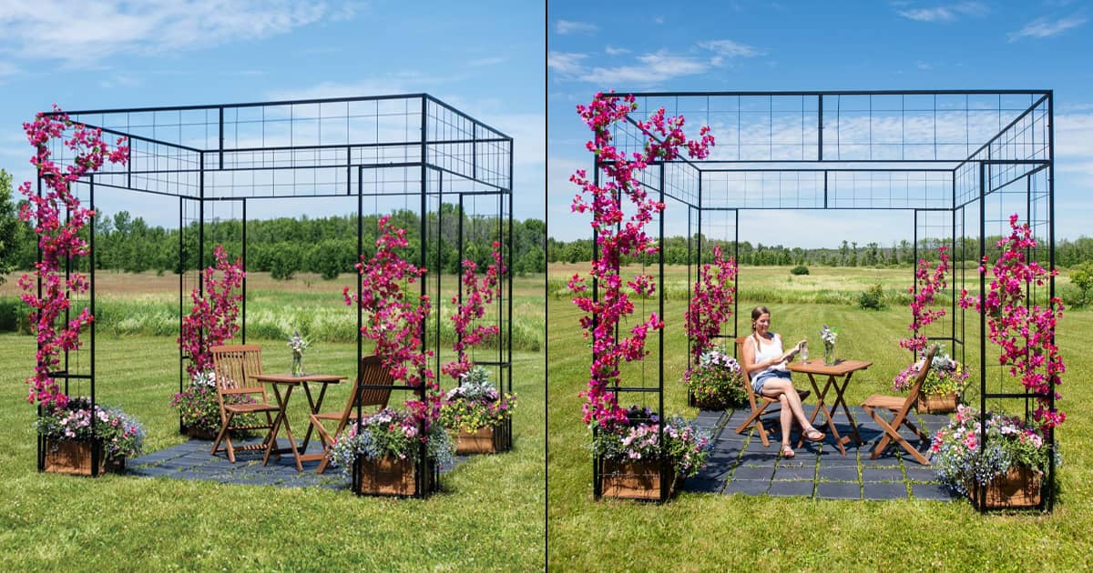 Massive Gazebo Trellis for Flowering Vines and Climbing Plants The