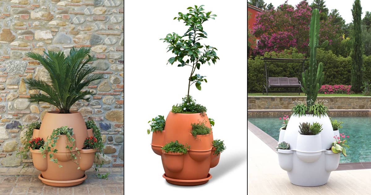 Oasis Tuscan MultiPot Planter The Green Head